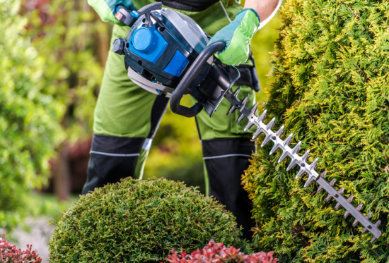 Hedge Trimming